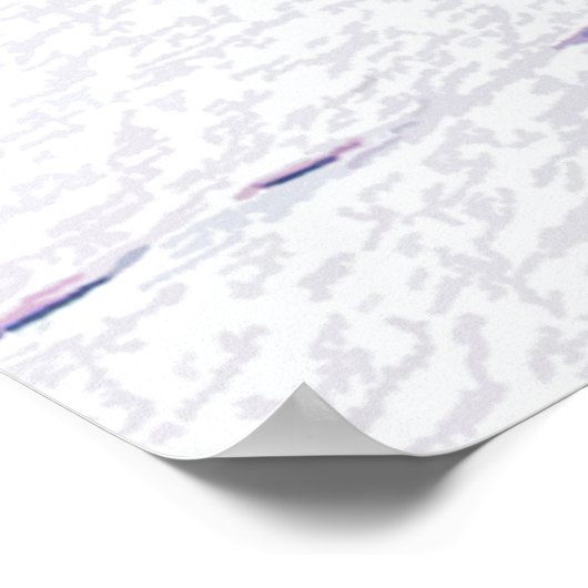 Livin' It! - Abfahrtskier Poster (Ecke)