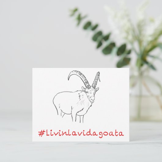 Livin La Vida Goata Funny Goat Design Postkarte (Stehend Vorderseite)