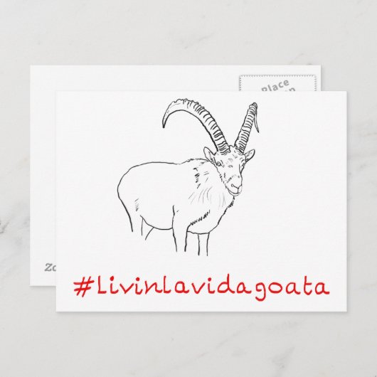 Livin La Vida Goata Funny Goat Design Postkarte (Vorne/Hinten)