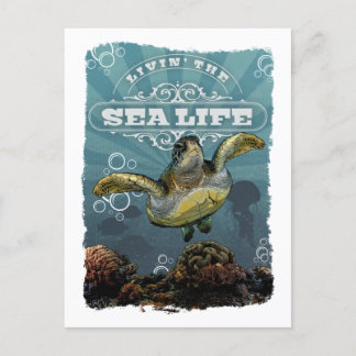Livin' Sea Life Schildkröte Postkarte