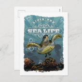 Livin' Sea Life Schildkröte Postkarte (Vorne/Hinten)