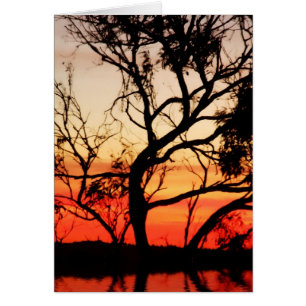 Living Art: Sunset Nature Silhouette Card