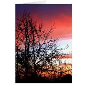 Living Art Tree Silhouette Red Skies Card