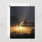 Living Art Views Postkarte (Vorne/Hinten)