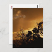 Living Art Views Postkarte (Vorne/Hinten)