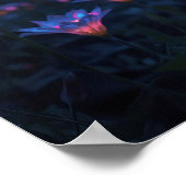 Living Lanterns Poster (Ecke)