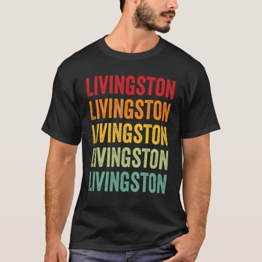Livingston Landkreis New York Rainbow Text Design T-Shirt (Vorderseite)