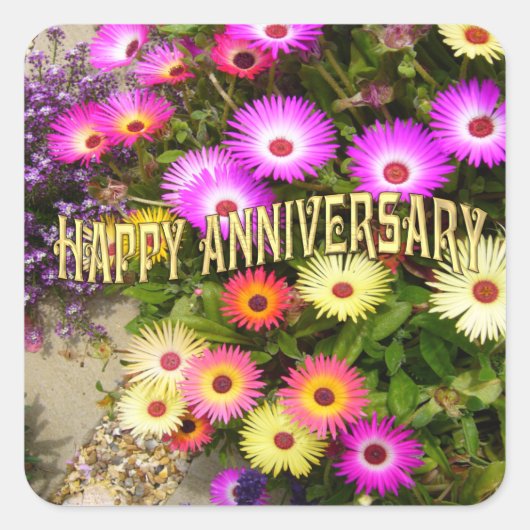 LIVINGSTONE DAISY QUADRATISCHER AUFKLEBER (Vorderseite)