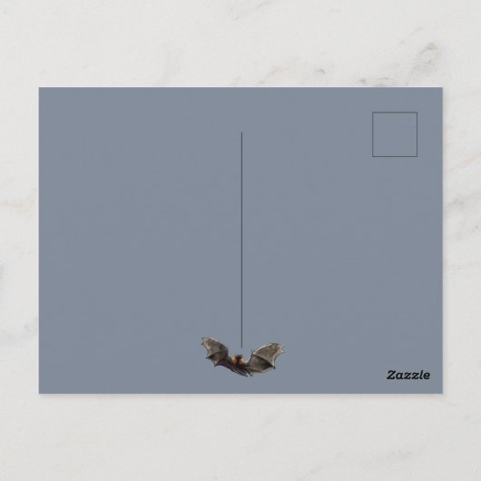 Livingstone Flying Fox Postkarte (Rückseite)