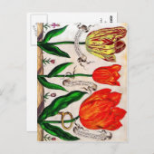 Livres De Fleurs Postcard Postkarte (Vorne/Hinten)