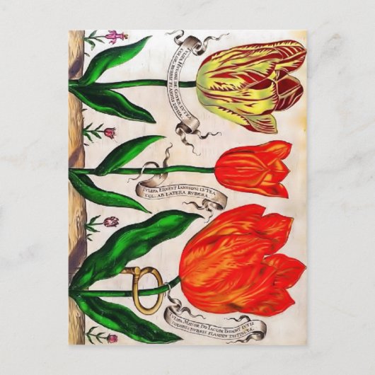 Livres De Fleurs Postcard Postkarte (Vorderseite)