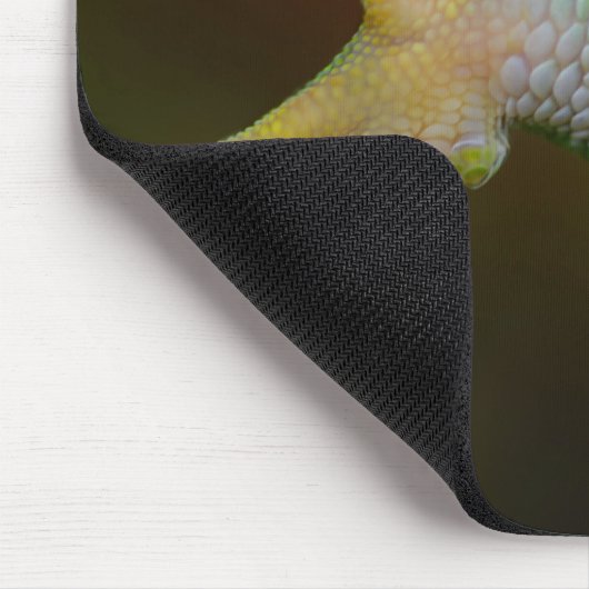 Lizard Arm Mousepad (Ecke)