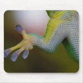 Lizard Arm Mousepad (Vorne)
