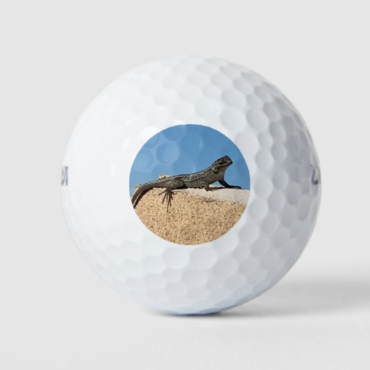 Lizard auf Brick Golfball (Vorderseite)