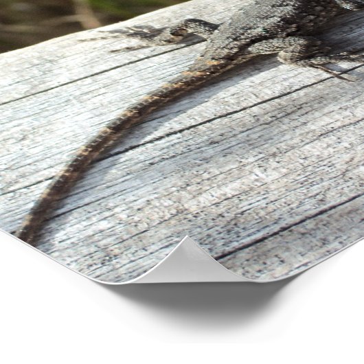 Lizard auf Zaun Poster (Ecke)