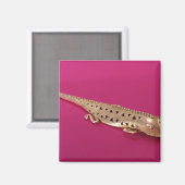 Lizard aus Kolumbien Magnet (Vorderseite/Rückseite)