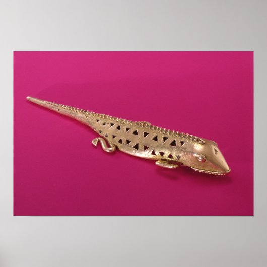 Lizard aus Kolumbien Poster (Vorne)