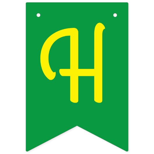 Lizard Birthday Party Wimpelkette (Zweite Fahne)