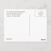 Lizard-Blau Postkarte (Rückseite)