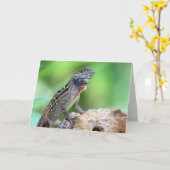 Lizard (Brown Anole) (6891) - Leere Innenseite Karte (Gelbe Blume)