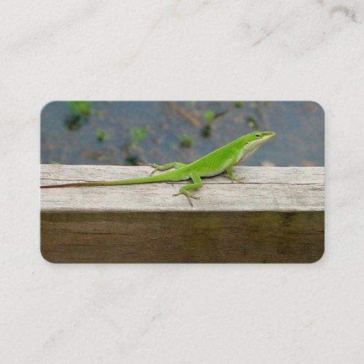 Lizard Business Cards Visitenkarte (Vorderseite)