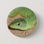 Lizard Button (Vorderseite)