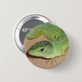 Lizard Button (Vorne & Hinten)