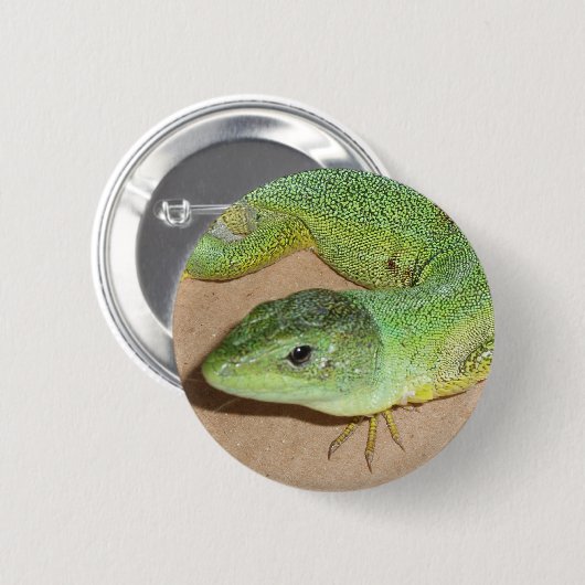 Lizard Button (Vorne & Hinten)