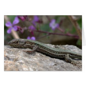 Lizard Card (Vorderseite (Horizontal))