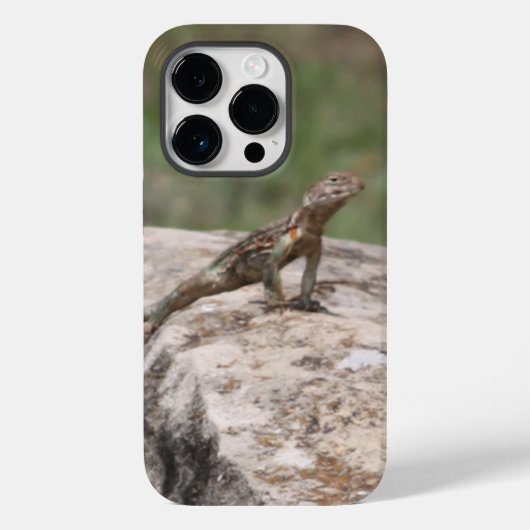 Lizard Case-Mate iPhone Hülle (Rückseite)
