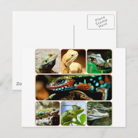 Lizard Collage Postkarte (Vorne/Hinten)
