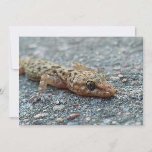 Lizard Einladung (Vorderseite)