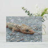 Lizard Einladung (Stehend Vorderseite)