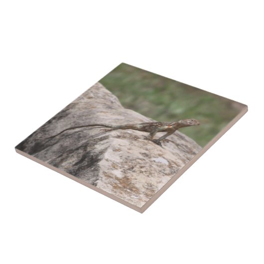 Lizard Fliese (Seite)