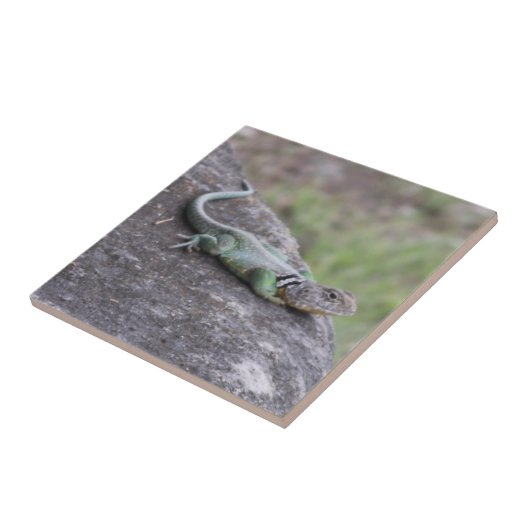 Lizard Fliese (Seite)