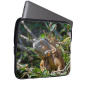 Lizard Fotografie, Orange Iguana Laptopschutzhülle (Vorne Rechts)