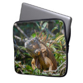 Lizard Fotografie, Orange Iguana Laptopschutzhülle (Vorderseite Links)