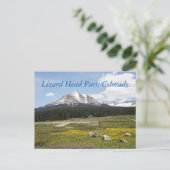 Lizard Head Pass, Colorado Postkarte (Stehend Vorderseite)