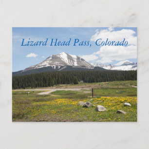 Lizard Head Pass, Colorado Postkarte