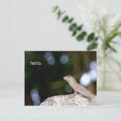 Lizard hello postkarte (Stehend Vorderseite)