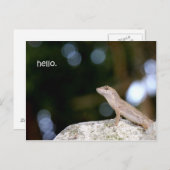 Lizard hello postkarte (Vorne/Hinten)