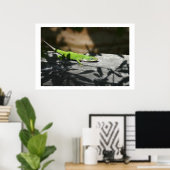 Lizard im Scrapwood Poster (Heimbüro)