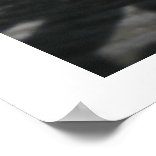 Lizard im Scrapwood Poster (Ecke)