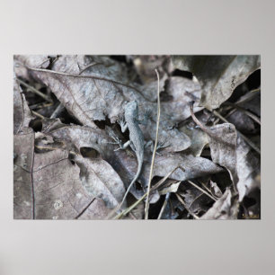 Lizard in den Blätter Monochrome Camouflage Poster