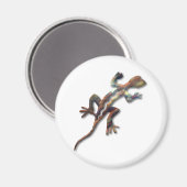 Lizard-Kupfer Magnet (Vorderseite/Rückseite)