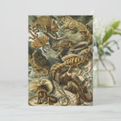 Lizard (Lacertilia) von Haeckel Einladung (Stehend Vorderseite)