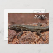 Lizard, Madeira Postkarte (Vorne/Hinten)