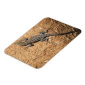 Lizard Magnet (Linke Seite)