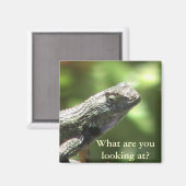 Lizard Magnet (Vorderseite/Rückseite)