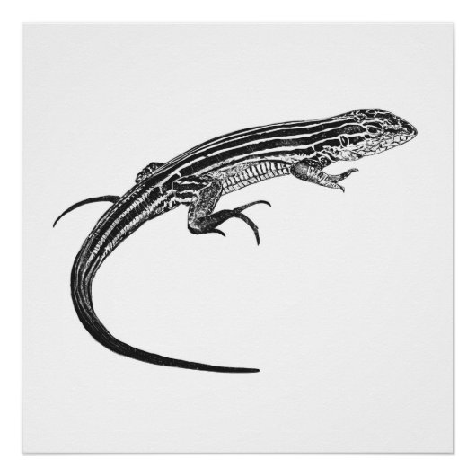 Lizard Monochrome Print Poster (Vorderseite)